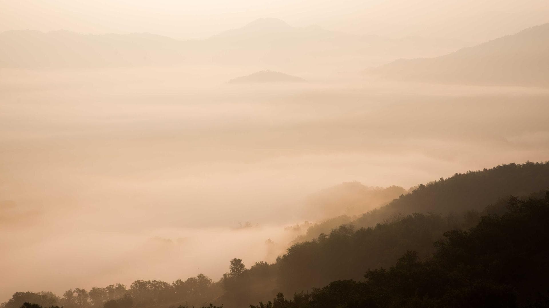 AI Analytics Dashboard